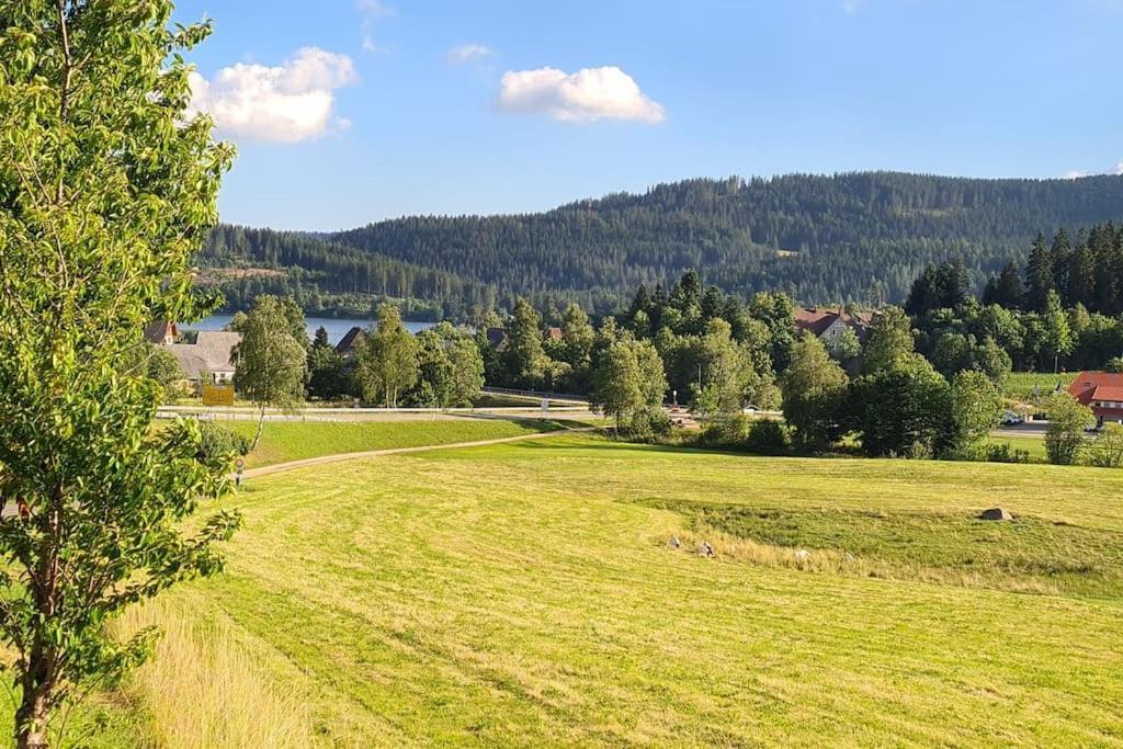 Fewo Sperlingskauz Mit Pool, Sauna & Hochschwarzwaldcard Schluchsee Exterior photo