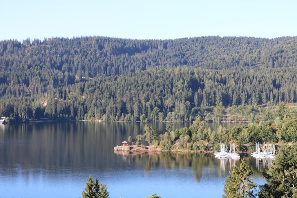 Fewo Sperlingskauz Mit Pool, Sauna & Hochschwarzwaldcard Schluchsee Exterior photo