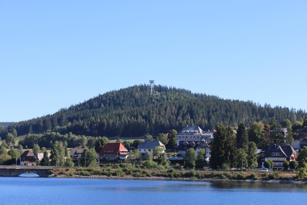 Fewo Sperlingskauz Mit Pool, Sauna & Hochschwarzwaldcard Schluchsee Exterior photo